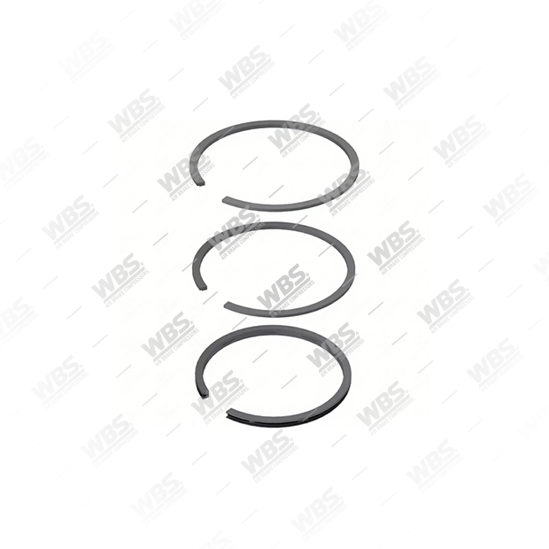 252.01.1000 (2) Ø75,00mm (STD) 2,00+2,00+4,00, Ring, Air Brake Compressor Repair Kits - Image 1