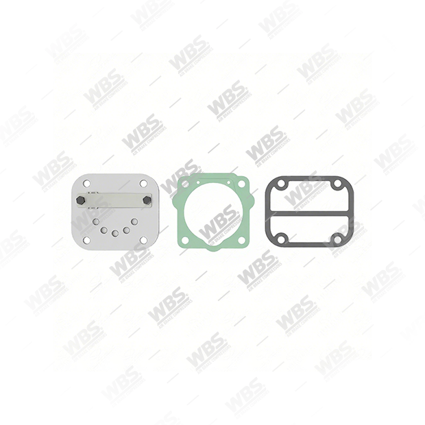252.01.1000 (3) Valve Plate, Air Brake Compressor Repair Kits - Image 1