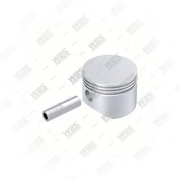 255.01.1000 (10) Piston - Image 1