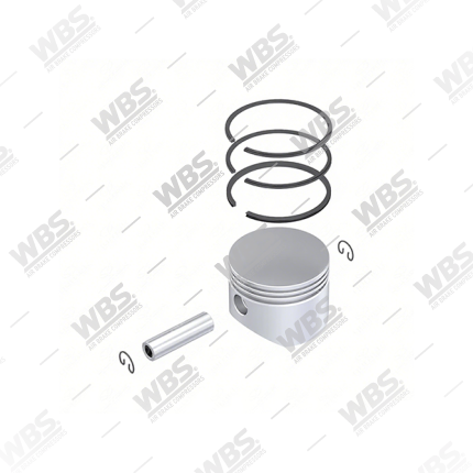 Piston & Ring