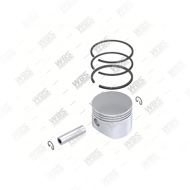 255.01.1000 (11) Piston & Ring - Image 1