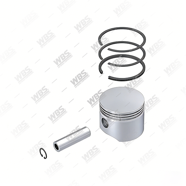 CK.108.3500 Piston & Ring - Image 1