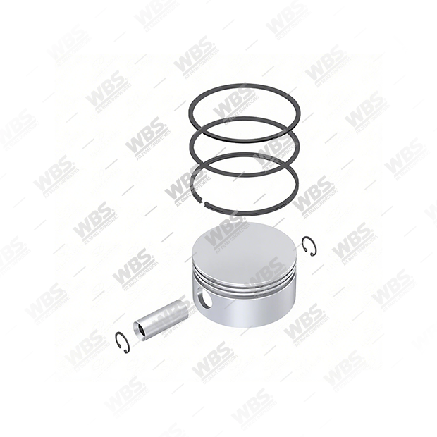 CMB.101.3500 Ø100,00mm (STD), Piston & Ring - Image 1