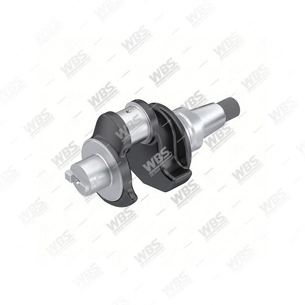 CW.119.6010 Crankshaft - Image 1