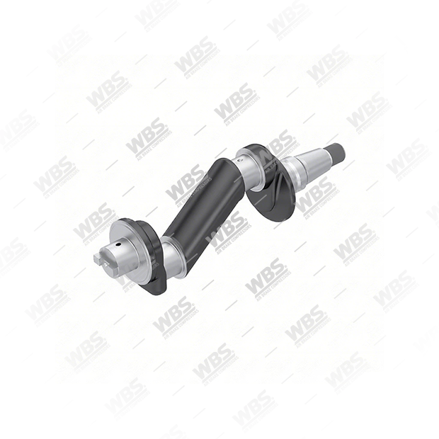 CW.288.6010 Crankshaft - Image 1